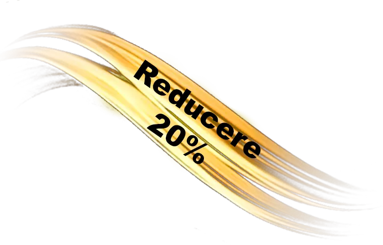 panglica reducere20